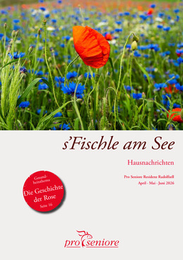 PDF Vorschau